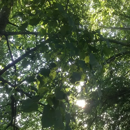 Am Ringkanal * Ihlow (Aurich)